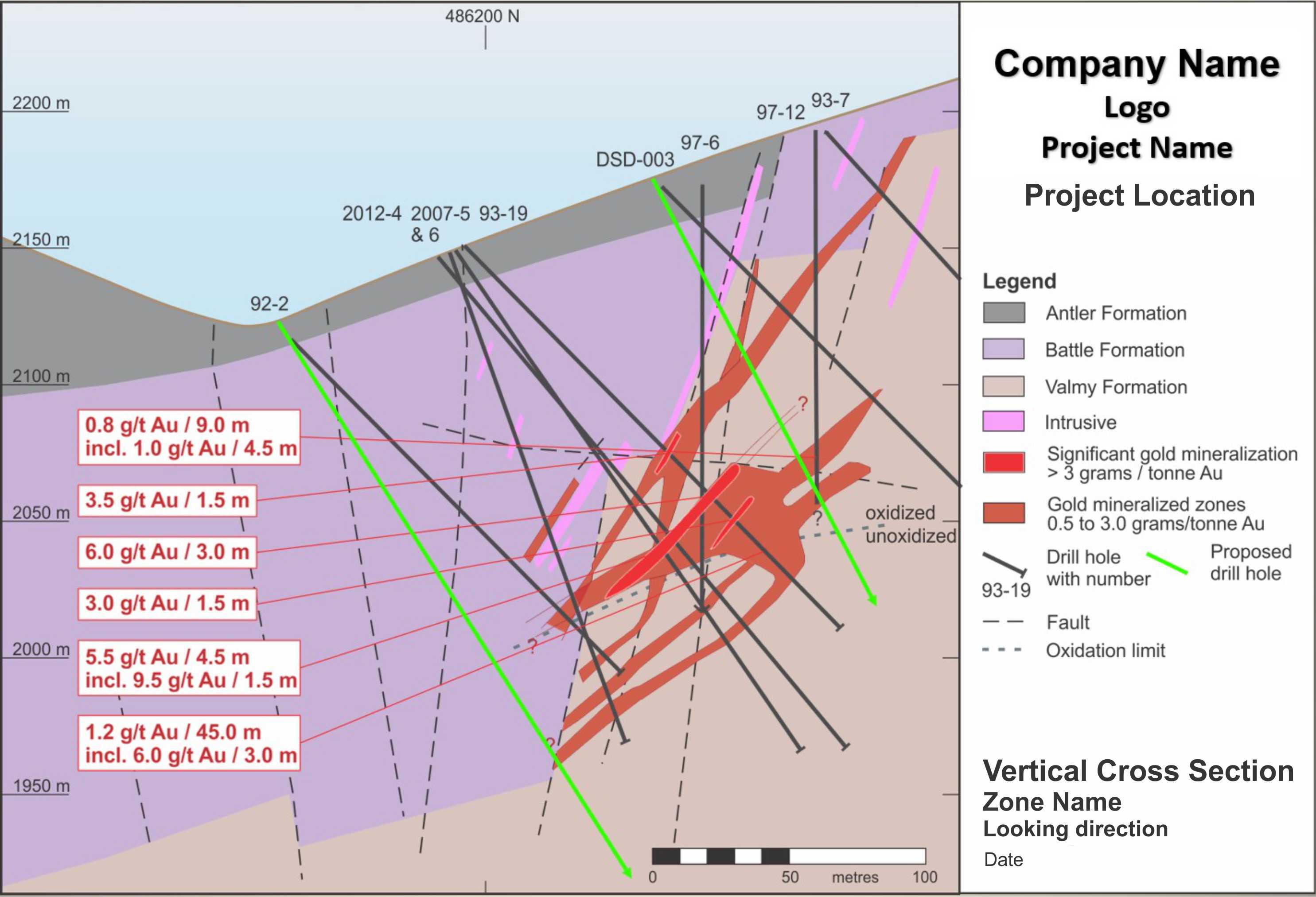 diamond drill hole vertical cross section showing geology / lithology and assay values